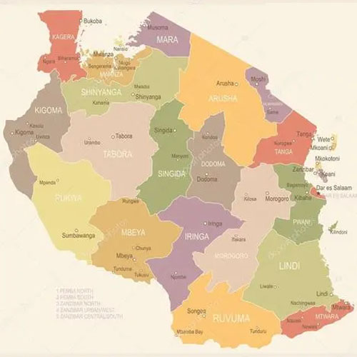 坦桑尼亞空運專線